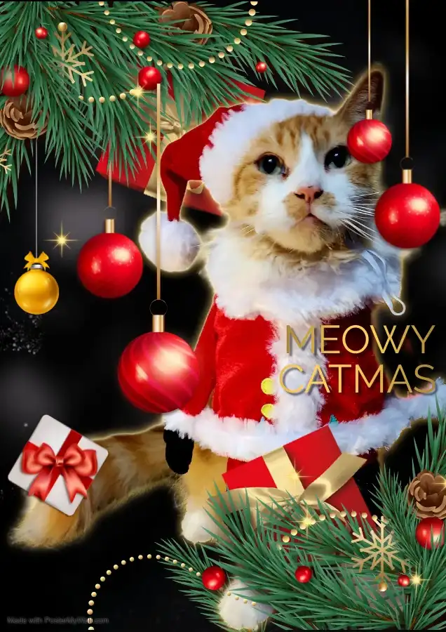 A fluffy orange and white cat wearing a red Santa hat and a matching Santa suit with white trim, surrounded by Christmas…
