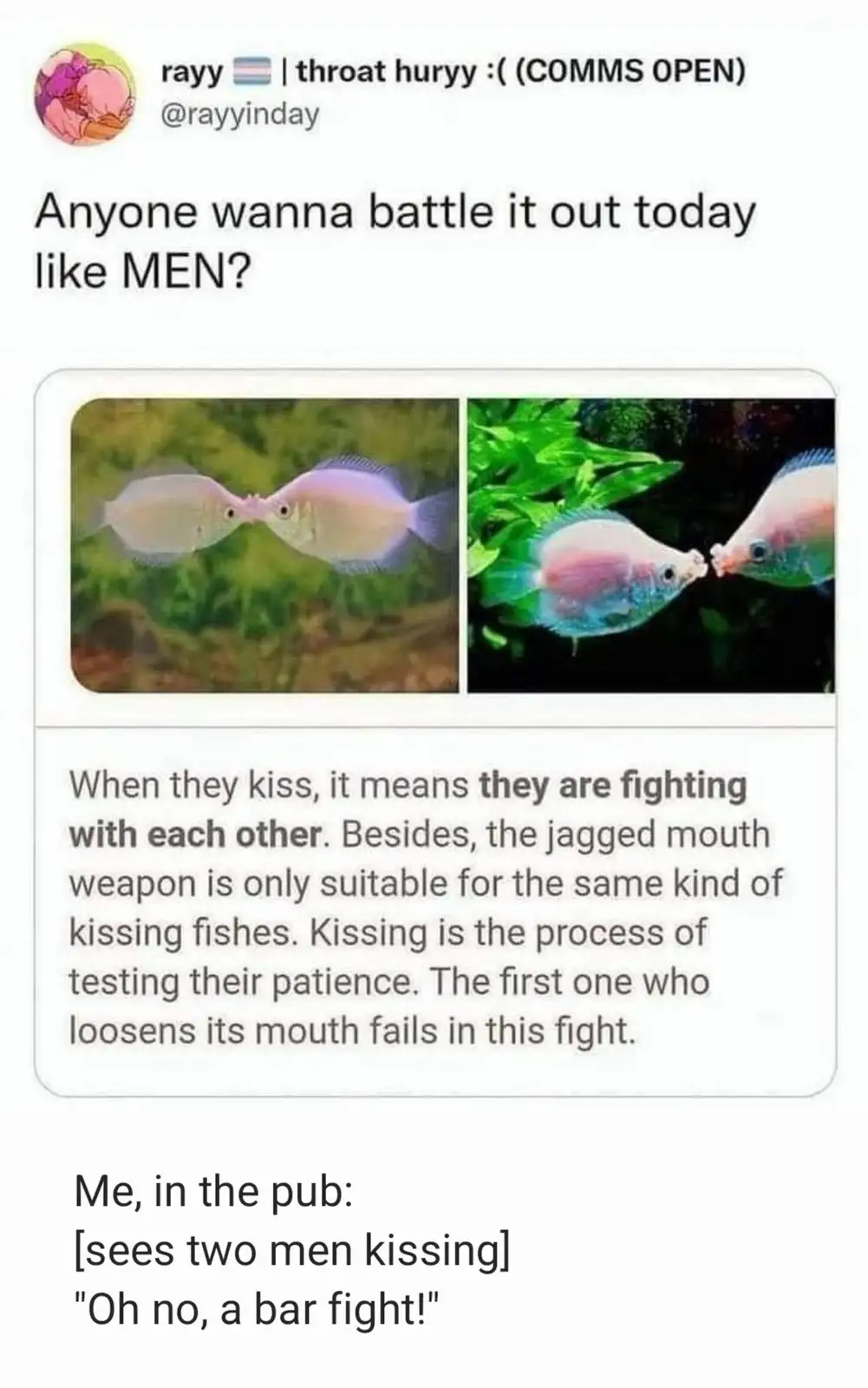The image shows two photos of kissing kissing fish, with overlaid text explaining that their kissing behavior is actually a…