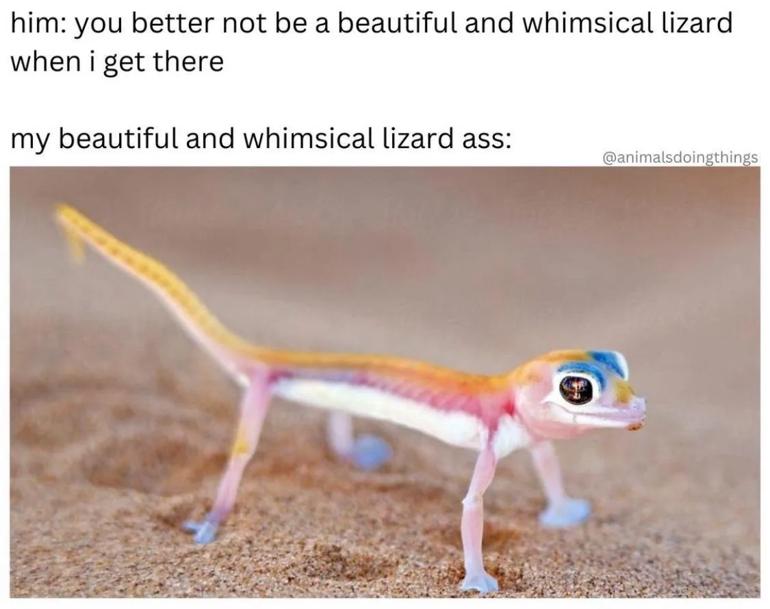 A small, colorful lizard with a long tail and vibrant pink, orange, and blue markings stands on sandy ground. The overlaid…