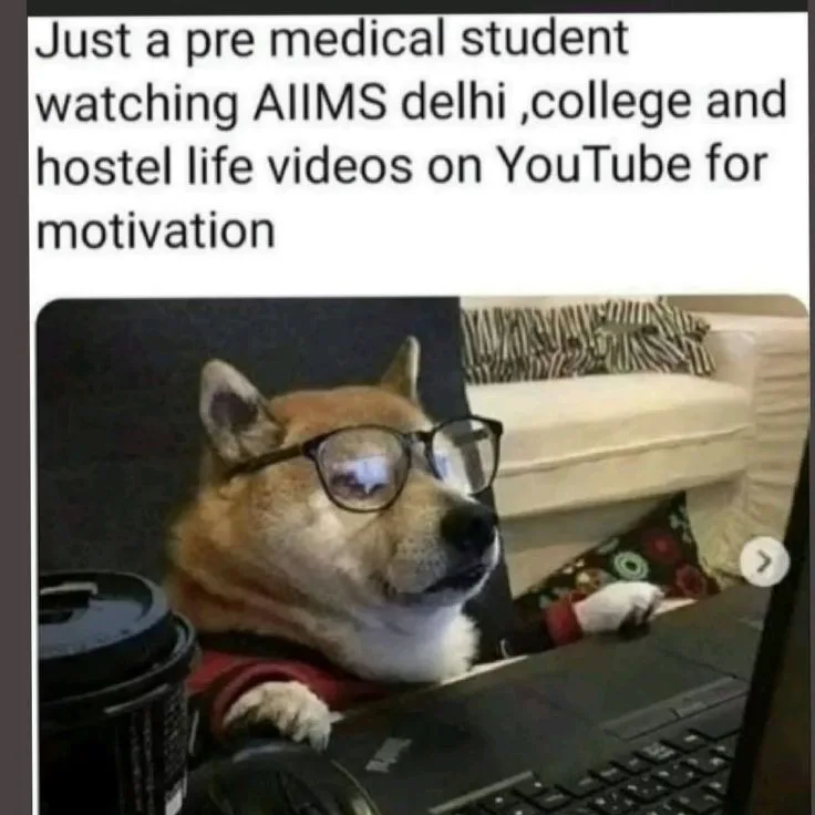 A shiba inu dog wearing black-rimmed glasses sits at a laptop, looking intensely focused with its eyes slightly glazed over…