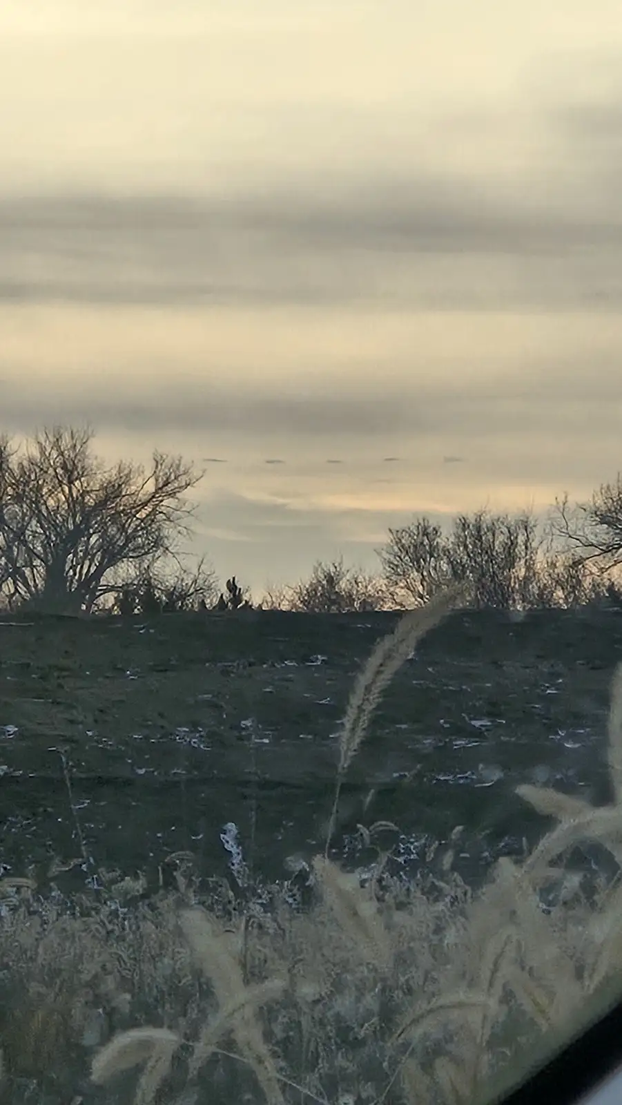 A photo taken from inside a car shows a bleak, wintry landscape with bare trees and frost-covered grass visible through the…