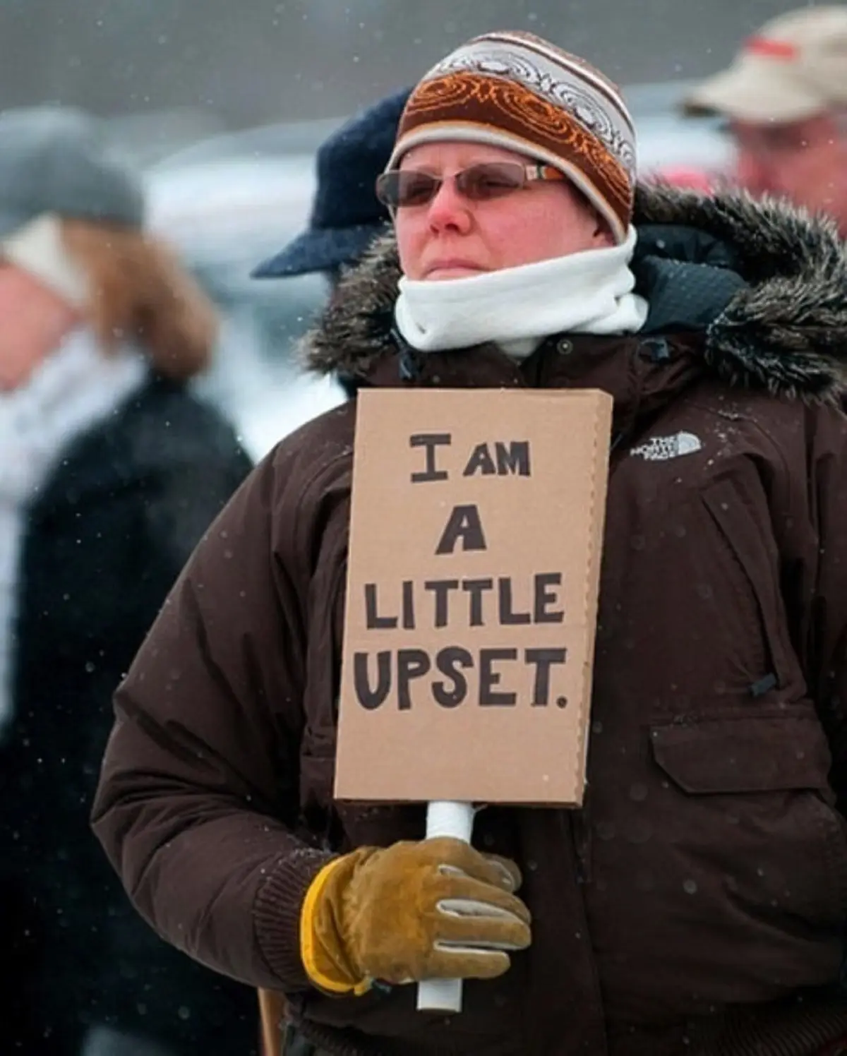 A person bundled in winter gear, including a patterned hat, sunglasses, a white scarf, and a brown North Face jacket, holds…
