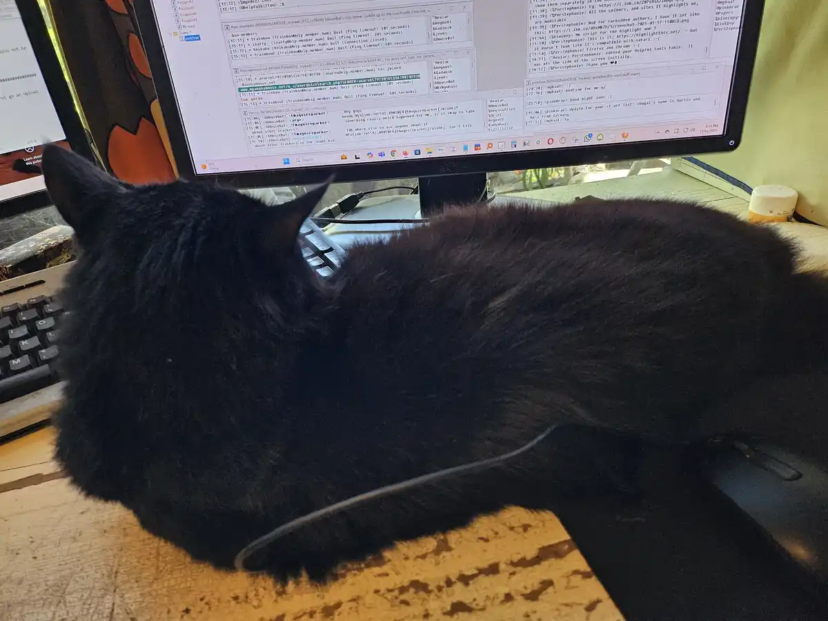 A fluffy black cat is curled up and sleeping on a wooden desk in front of a computer monitor displaying an IRC chat log. The…