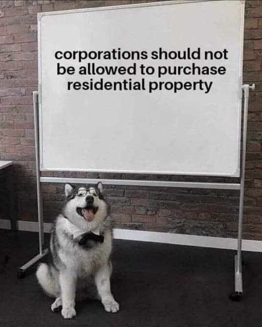 A husky dog wearing glasses and a bowtie sits in front of a whiteboard that displays the text 'corporations should not be…