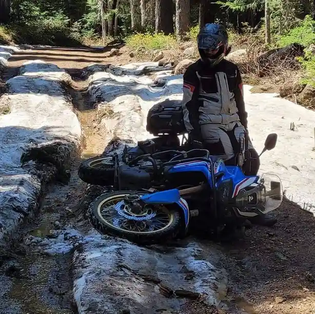 A motorcyclist in full gear sits atop a blue motorcycle that is lying on its side in a muddy, partially snow-covered forest…