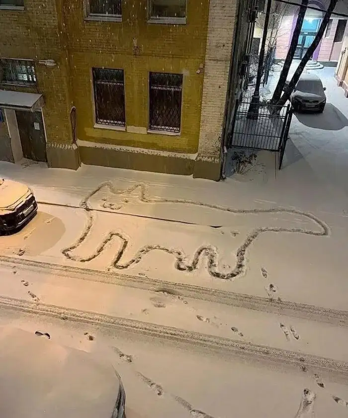 A snow-covered street at night shows a large, stylized outline of a cat drawn in the snow, created by someone walking…