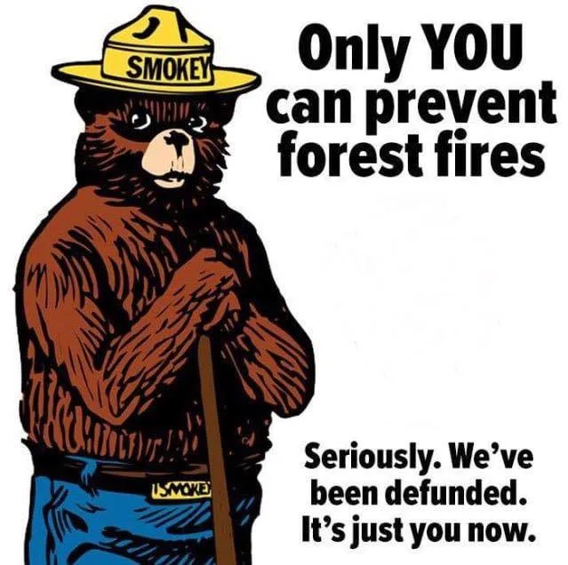 A cartoon illustration of Smokey the Bear, wearing his iconic yellow hat with 'SMOKEY' written on it and blue overalls with…