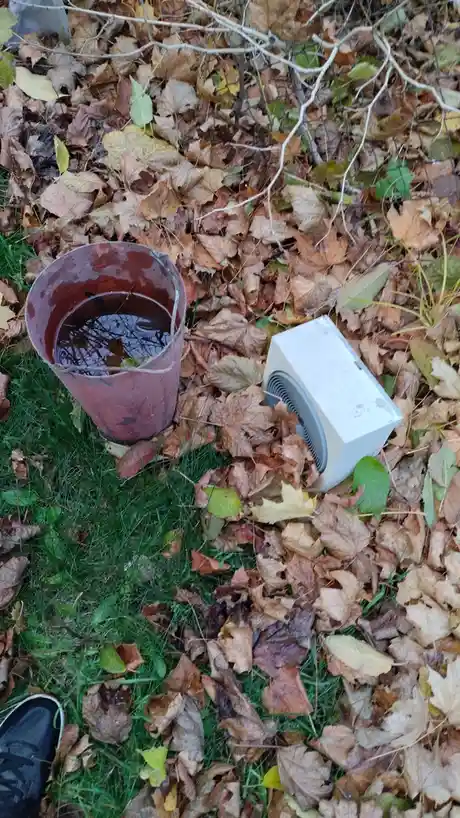 A rusty red bucket filled with water sits next to a white box heater lying on a bed of fallen autumn leaves and grass. The…