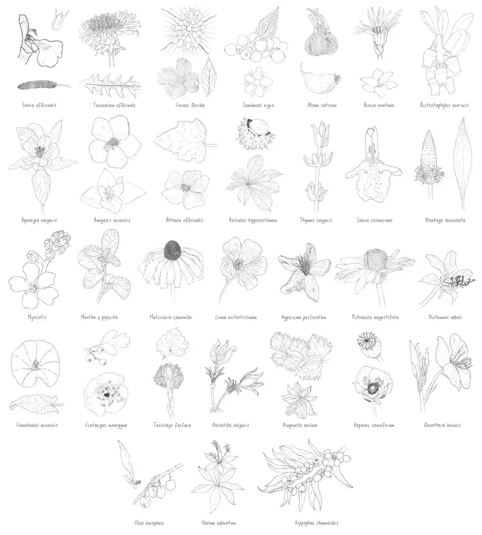 Get Ready for Inktober 2024!