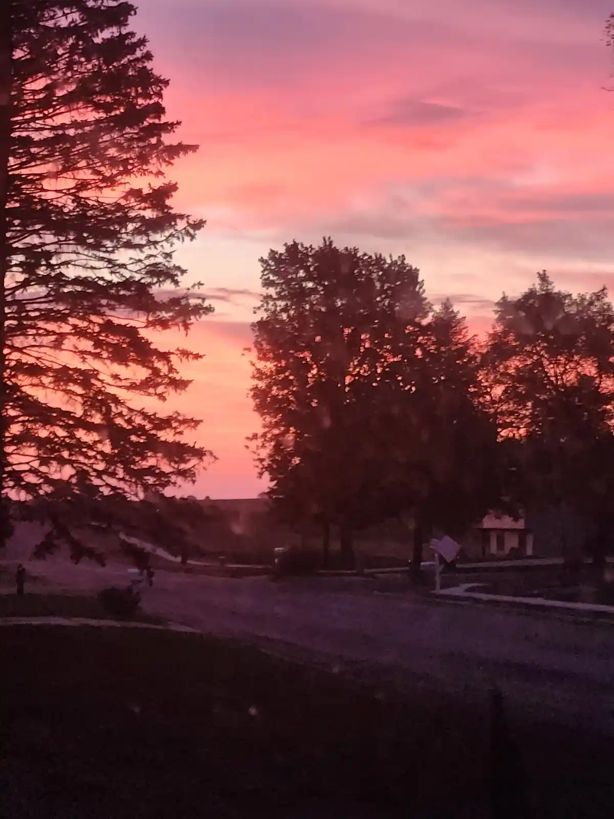 A serene suburban street at sunset, with silhouetted trees against a vibrant pink and orange sky, overlaid with the text…