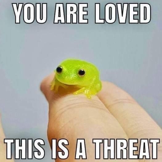 A tiny, translucent green frog with large black eyes sits perched on a person's fingertip against a plain light blue…