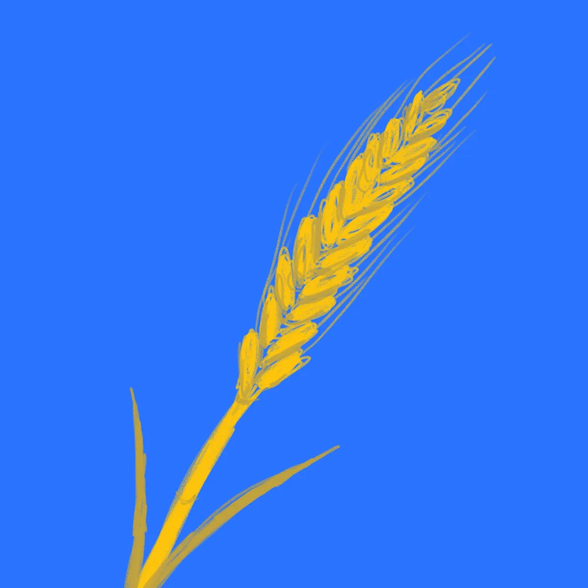A stylized yellow wheat stalk with a grain head is drawn against a solid blue background. The overlaid text reads 'i'm not a…