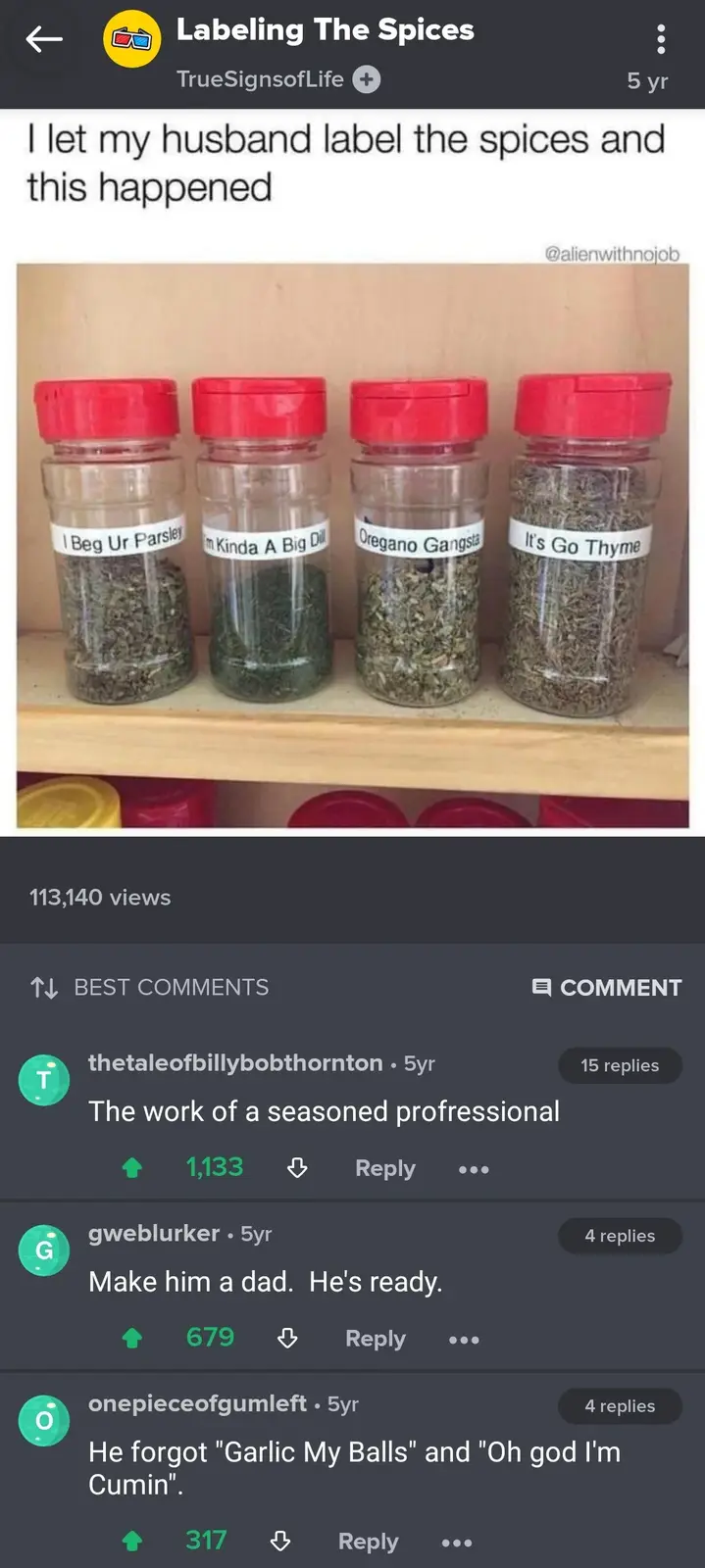 Four clear spice jars with red lids sit on a wooden shelf, each with a humorous, slang-laden label: 'I Beg Ur Parsley', 'm…