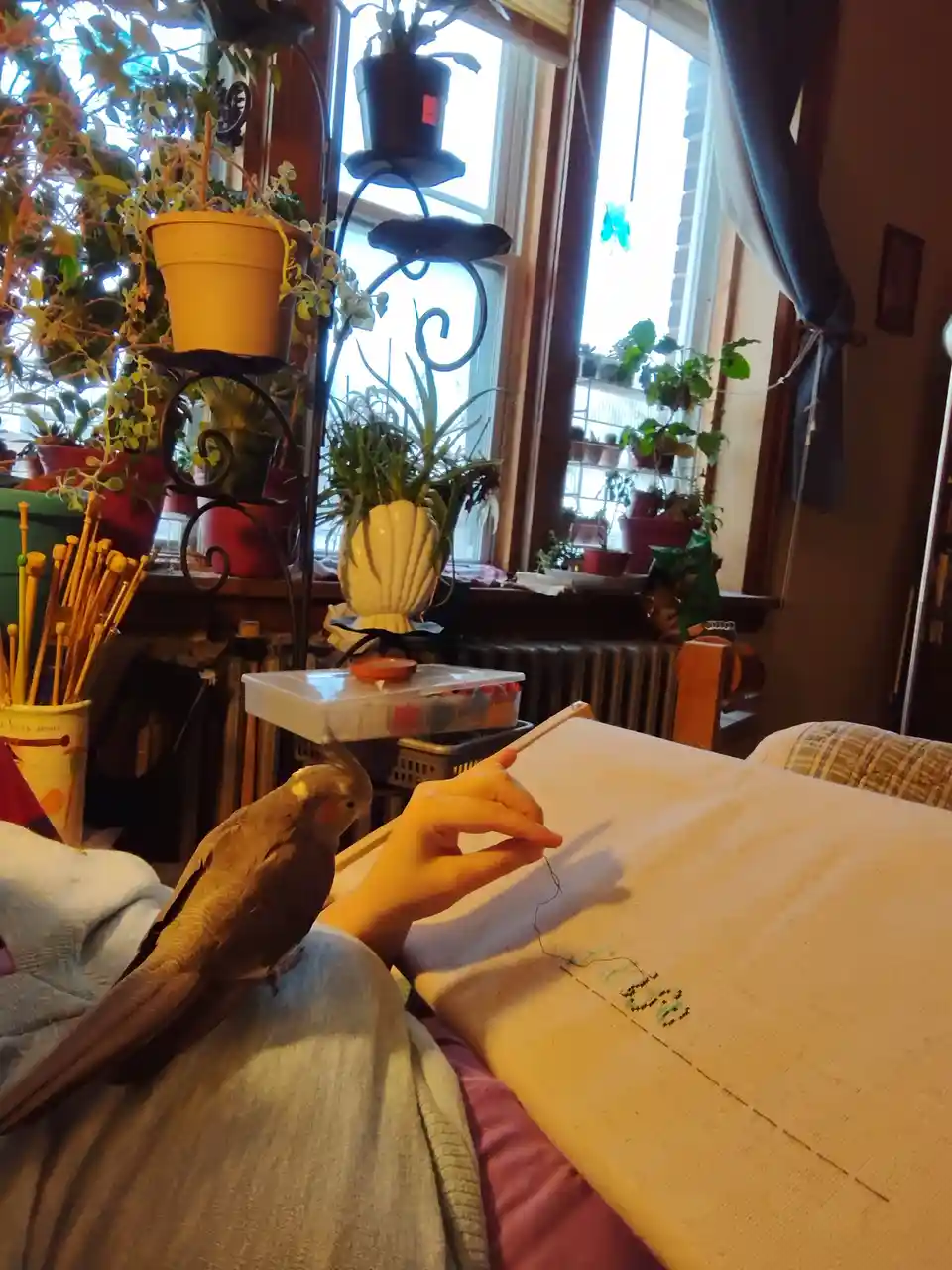 A person is cross-stitching on a light-colored fabric, with a small cockatiel perched on their lap, looking at the needle…