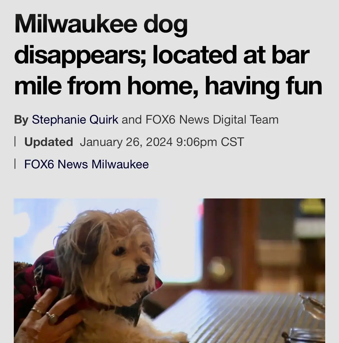A news article screenshot shows a headline about a dog in Milwaukee that 'disappears' but is found 'at bar mile from home…