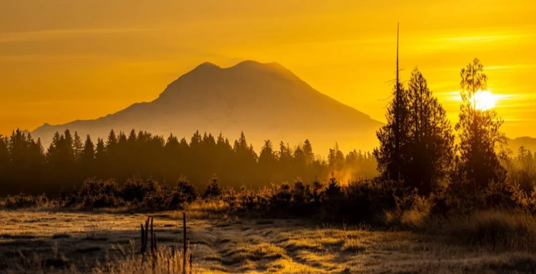 A serene golden sunrise or sunset over a mountain range, with silhouetted trees and a field in the foreground. The overlaid…