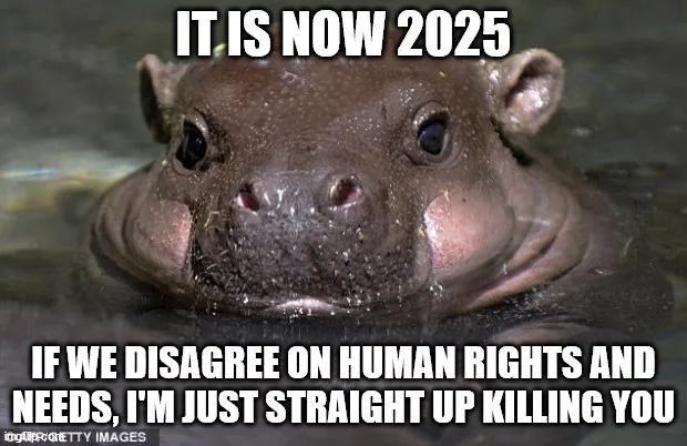 A close-up photo of a hippopotamus partially submerged in water, looking directly at the camera with a calm, almost innocent…
