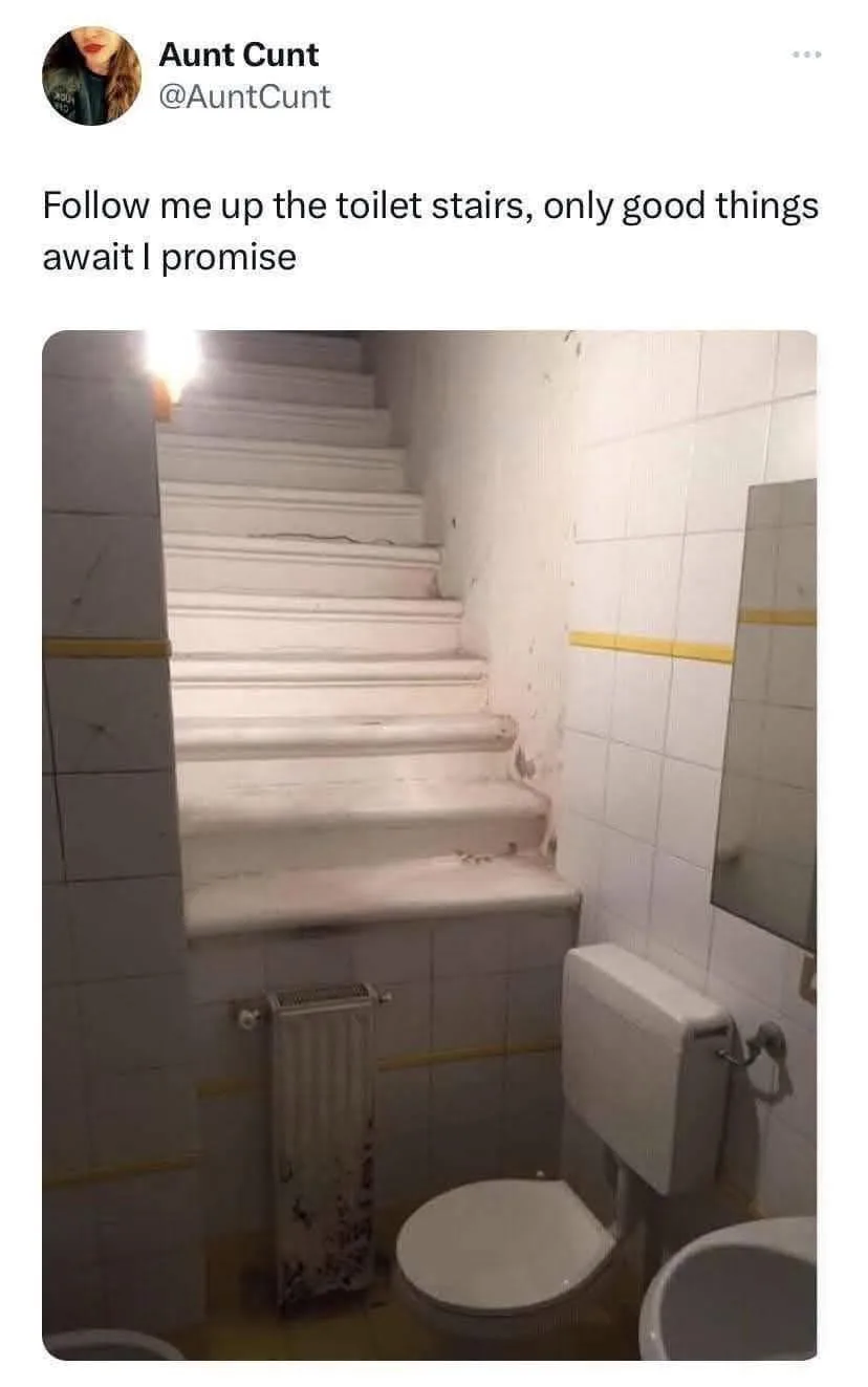 A photo shows a narrow bathroom with white tiled walls and a toilet on the right. A set of stairs rises directly from the…