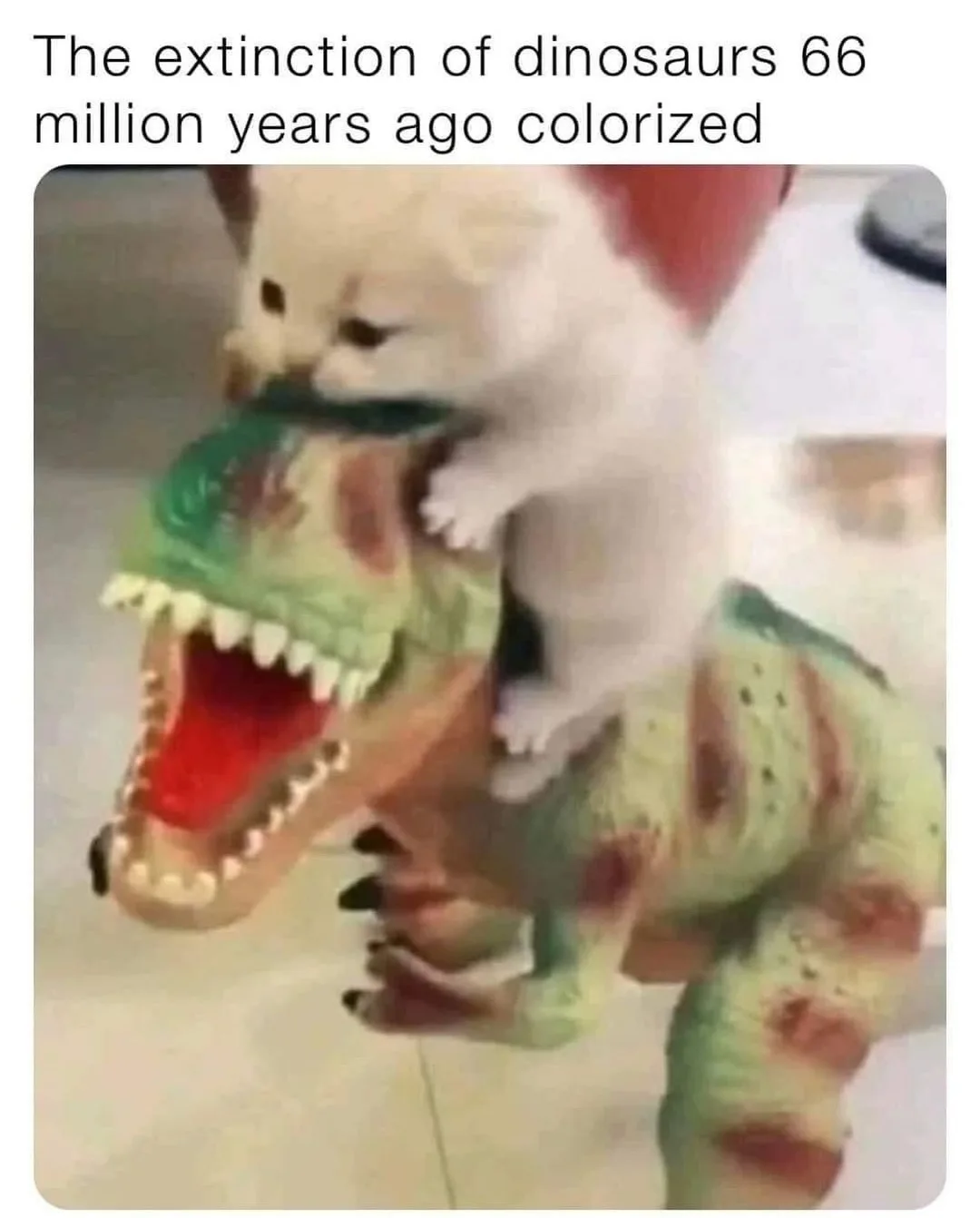 A small white kitten is perched on the back of a green plastic dinosaur toy with its mouth open, appearing to ride it. The…