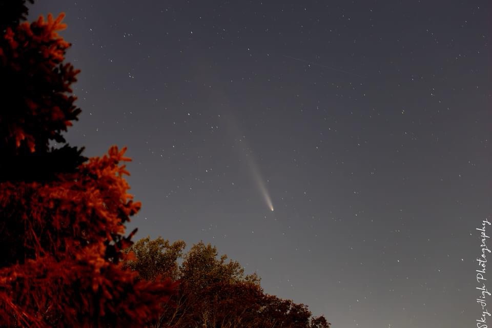A night sky photograph shows a bright comet with a long tail streaking across a starry sky above silhouetted trees with…