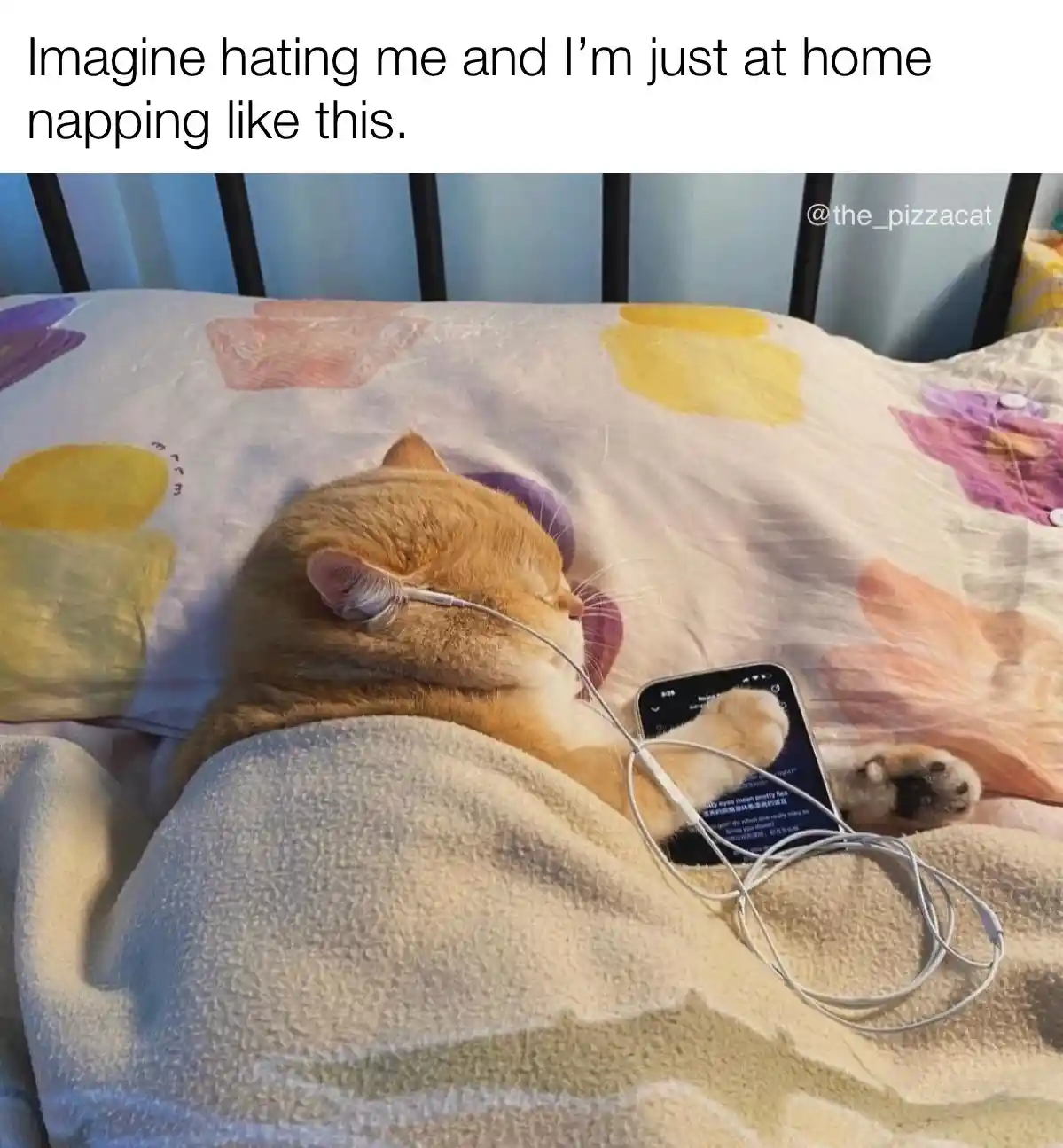 A ginger cat is peacefully napping on a bed with a colorful floral-patterned sheet, partially covered by a light-colored…