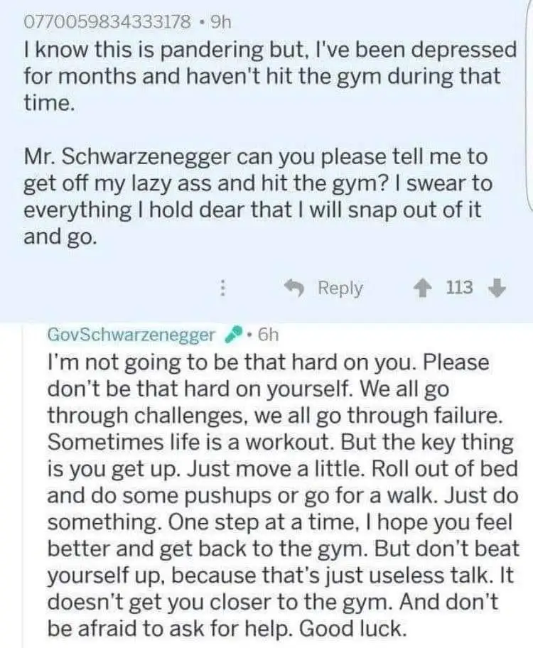 A screenshot of a Reddit comment thread where a user asks Arnold Schwarzenegger to motivate them to exercise after months of…