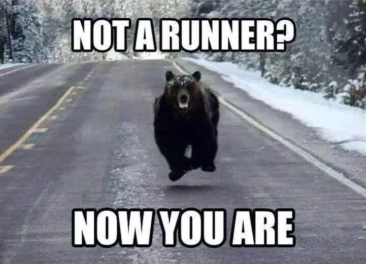 A black bear is captured mid-stride, running directly toward the camera down a snow-lined asphalt road. The image has bold…