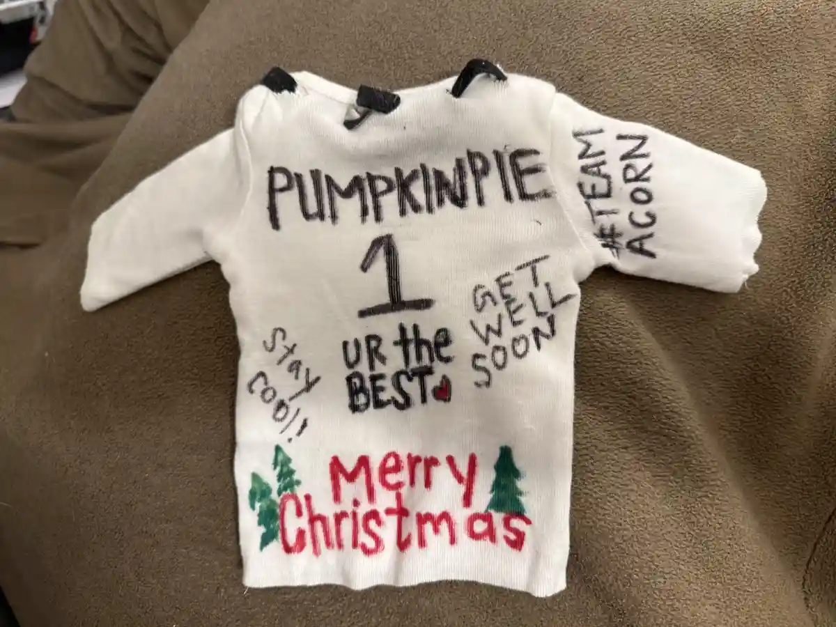 A small white baby onesie laid flat on a brown fabric surface, with handwritten text in black and red marker. The front…