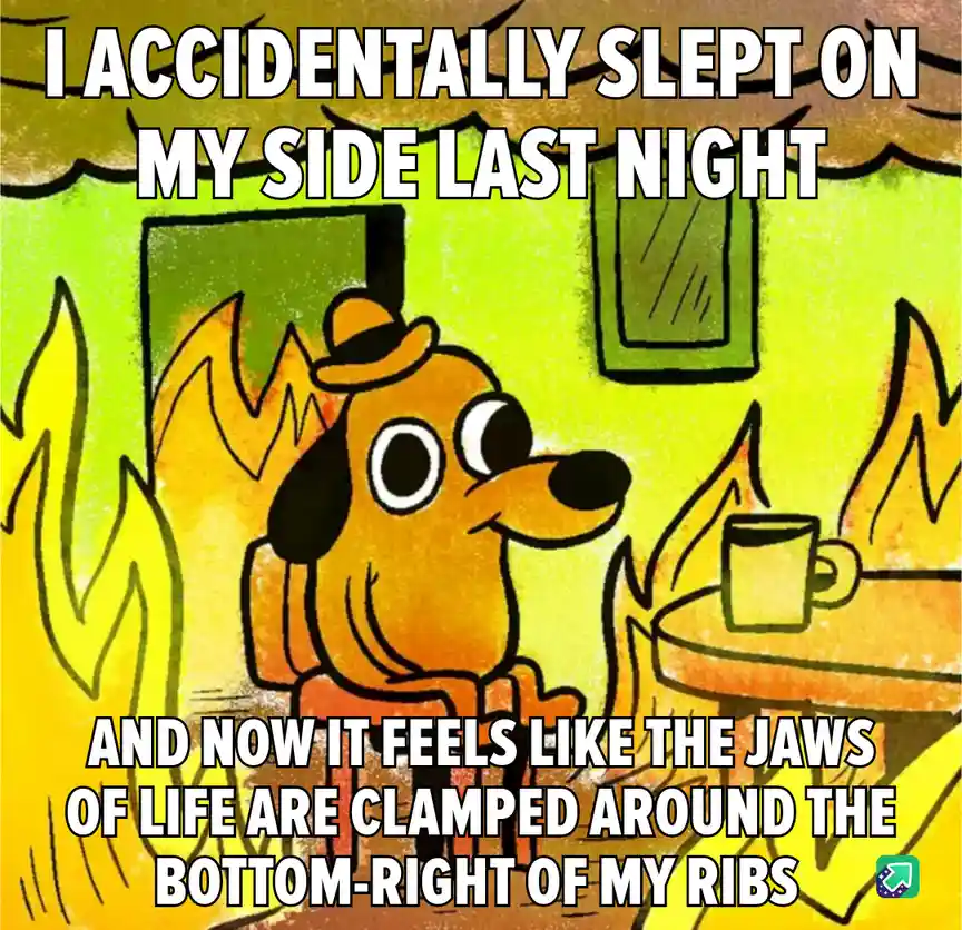 A cartoon dog wearing a hat sits in a room with flames on either side, looking alarmed. The text says 'I ACCIDENTALLY SLEPT…