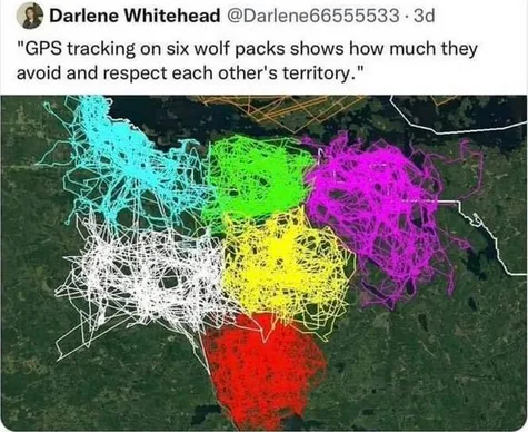 An aerial satellite image displays six distinct, colorful GPS tracking paths—cyan, green, magenta, yellow, white, and…