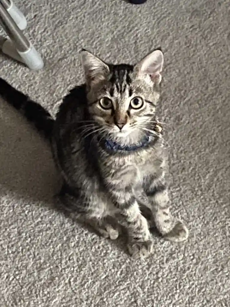 Welcoming Our Newest Family Member