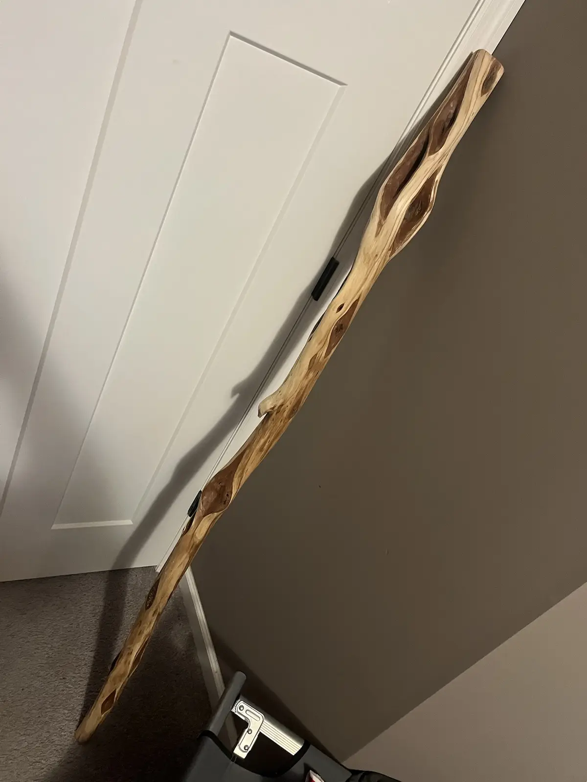 A long, irregularly shaped piece of driftwood or branch leans diagonally against a white interior door and beige wall…