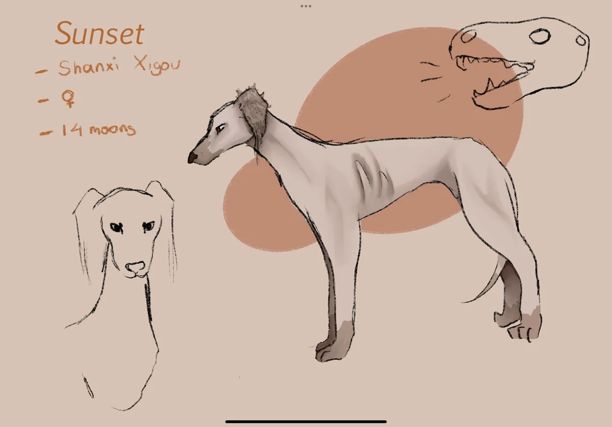 A digital illustration of a slender, light-colored Shanxi Xigou dog named 'Sunset', shown full-body and in a headshot…