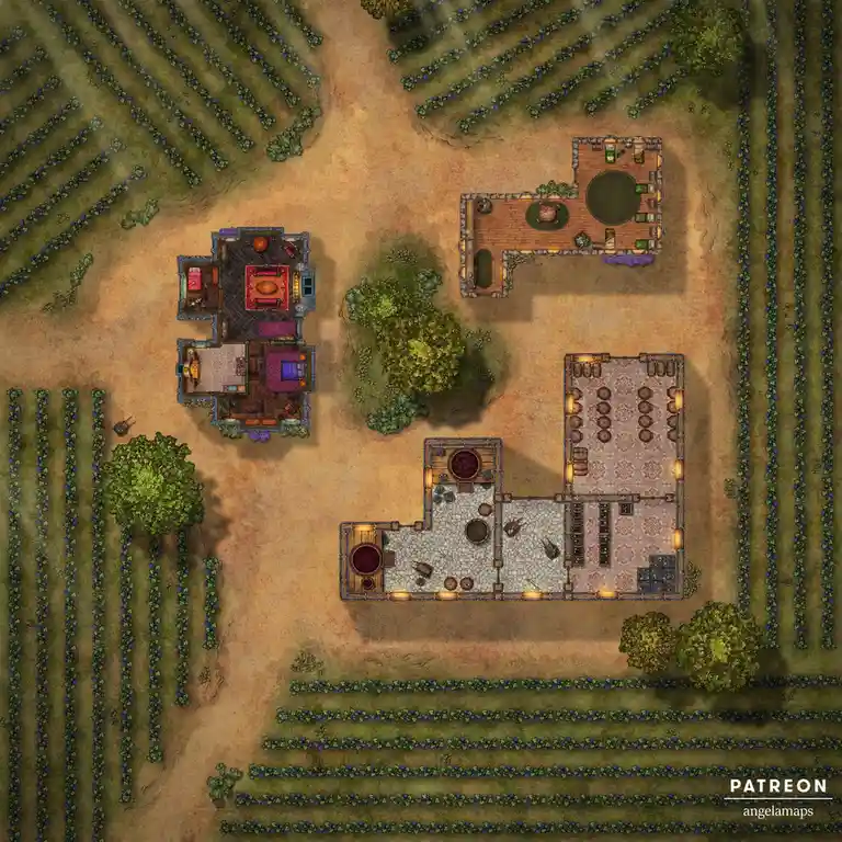 This is a top-down fantasy map showing a tavern, a house, and surrounding vineyards, with the overlaid text reading 'this is…