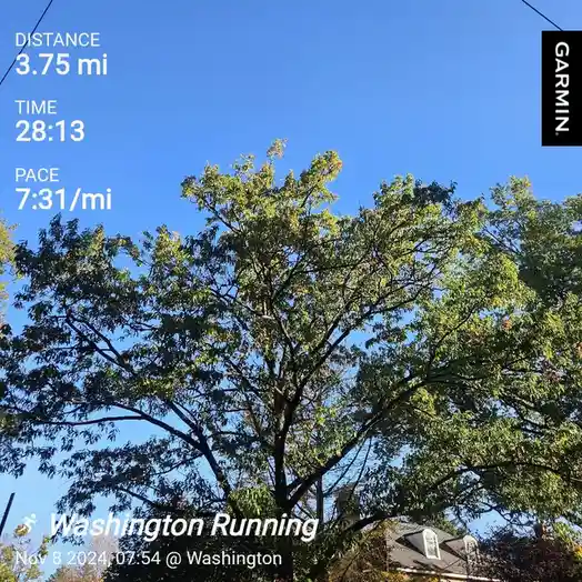 A Garmin fitness tracker screenshot overlaid on a photo of a tree against a clear blue sky, showing a 3.75-mile run…
