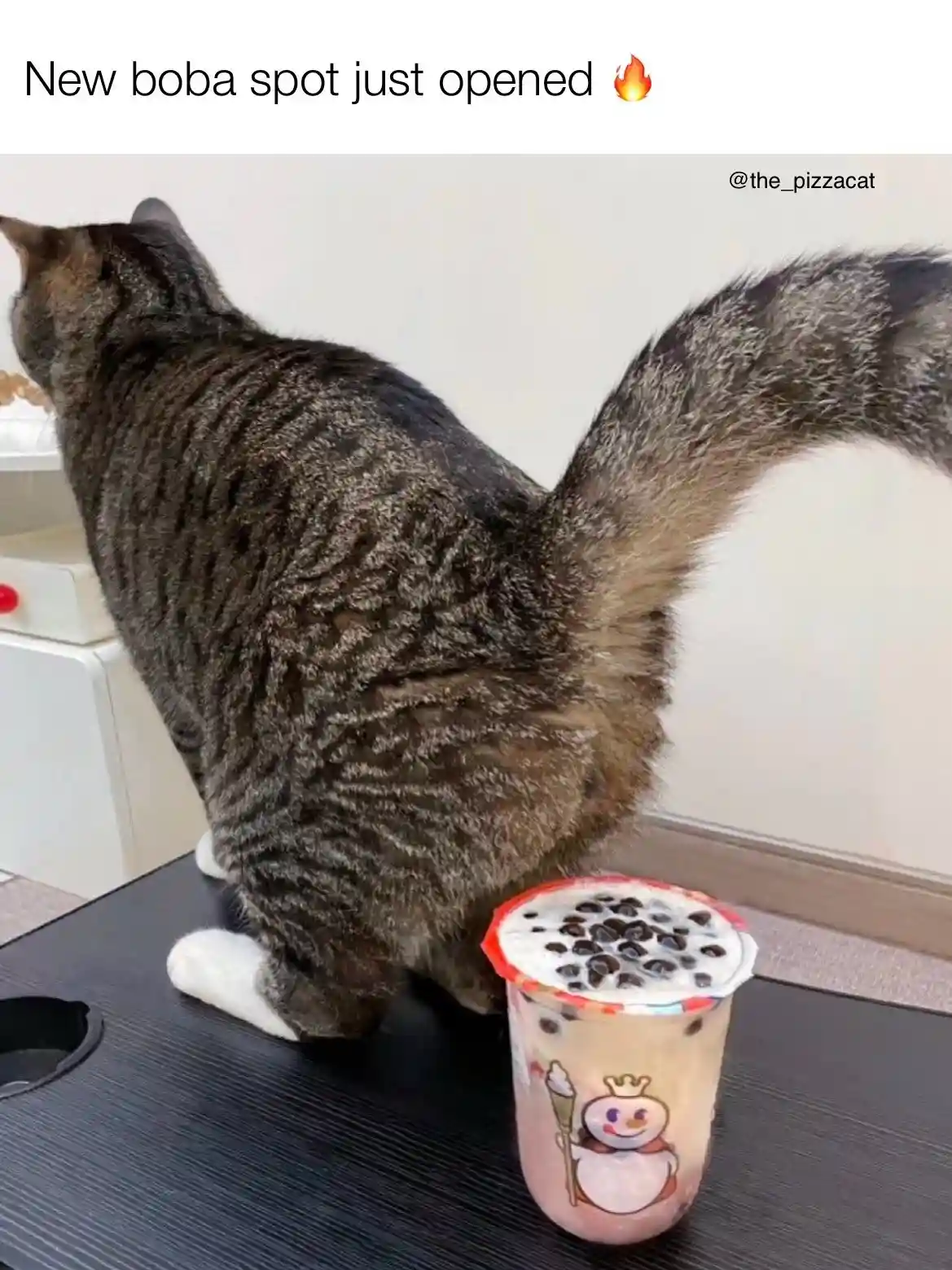 A tabby cat with a fluffy tail is sitting on a dark table, facing away from the camera, with a pink boba tea cup featuring a…