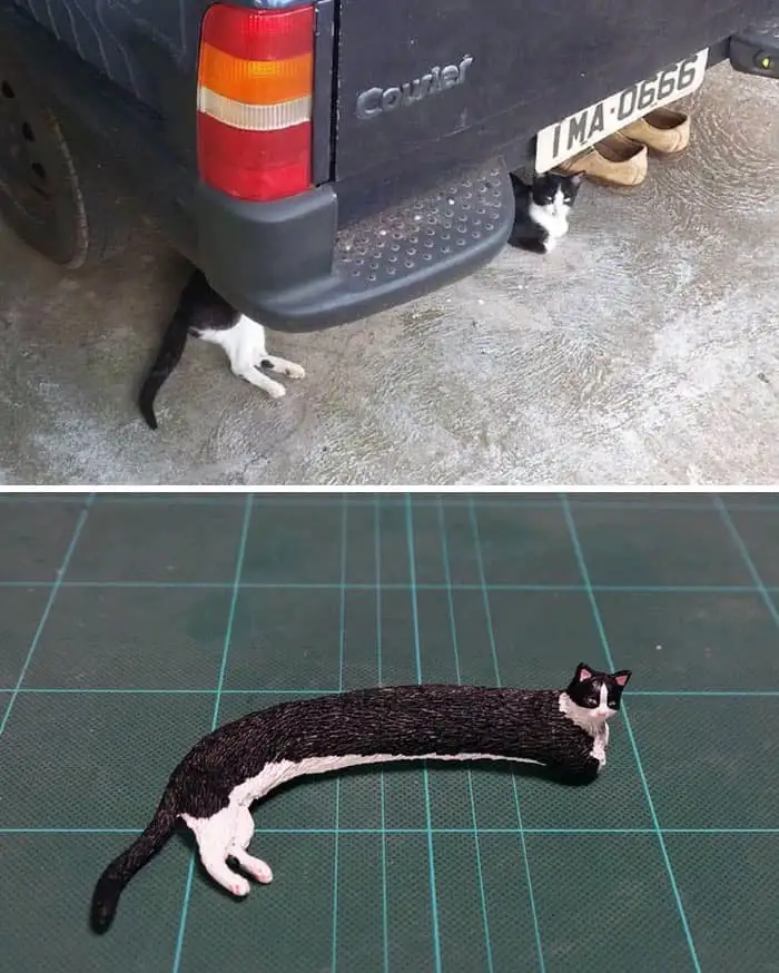 The top image shows a black and white cat squeezed under the rear bumper of a dark gray pickup truck, with its body…