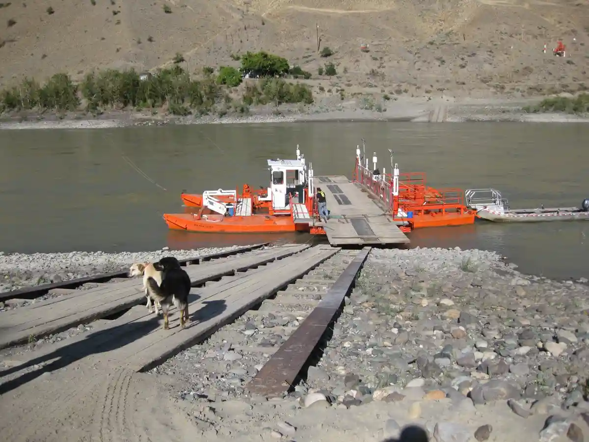 Two dogs stand on a wooden railway track leading to an orange ferry boat on a river, with the text 'i'm not a dog, i'm a…