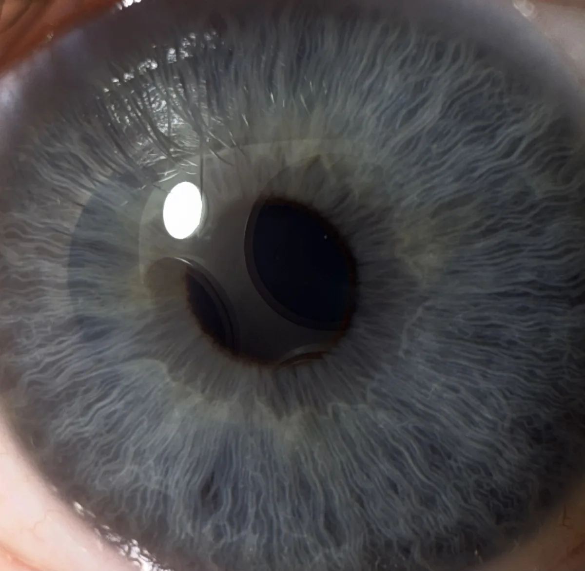 Eyeing the new 16 Pro, but that camera reflection is a bummer!