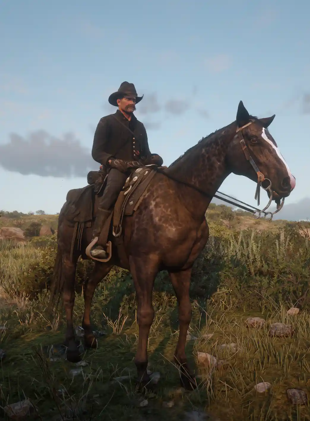 A man in a cowboy hat and dark clothing sits atop a brown horse with a white blaze on its face, standing in a grassy field…