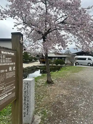 A scenic photo of a cherry blossom tree in full bloom at the Oshino Hakkei Springs Kagamike Pond, a World Heritage site in…