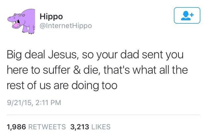 A screenshot of a tweet from the account 'Hippo' (@InternetHippo) with a purple hippo avatar. The tweet text reads: 'Big…