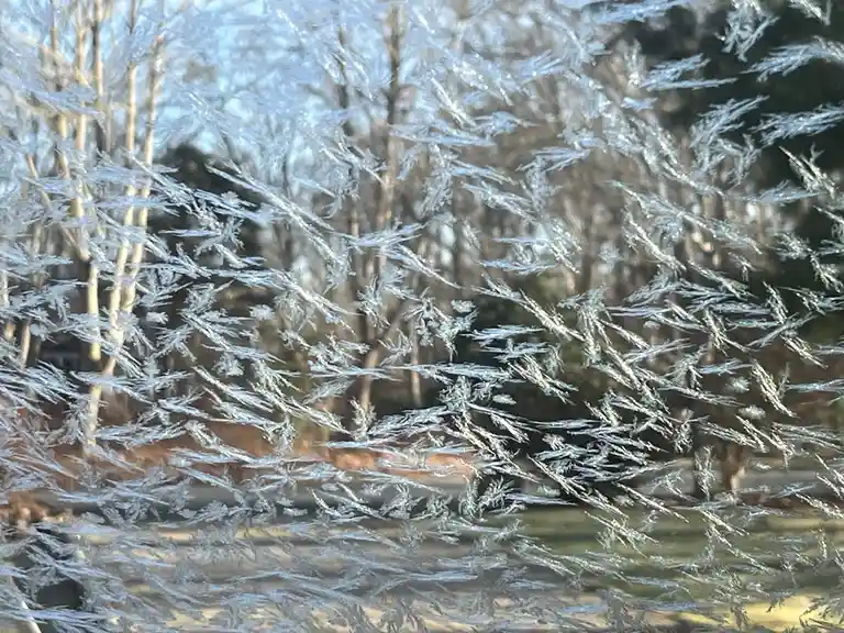 A close-up view of intricate frost patterns covering the inside of a window, with blurred trees and a hint of sky visible…