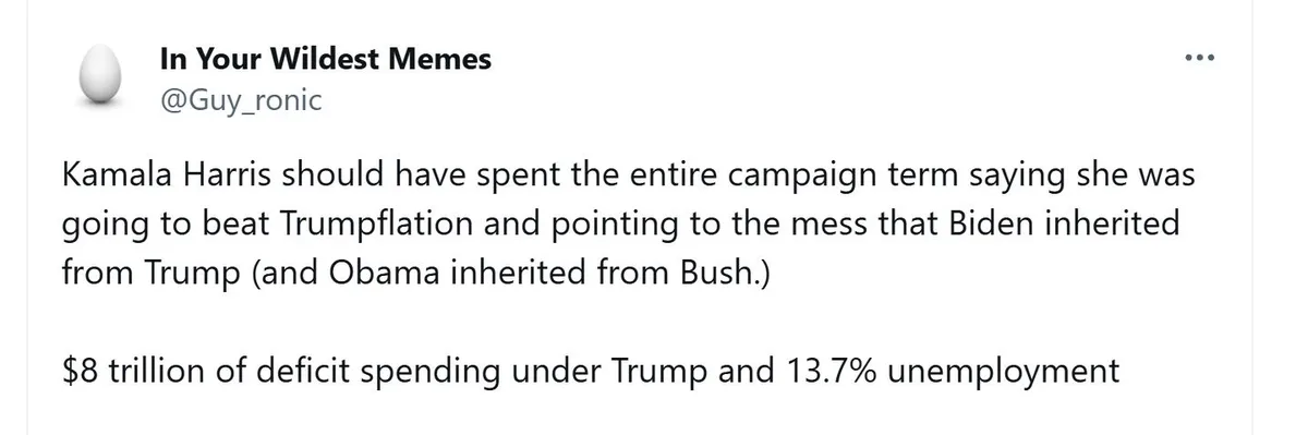 A screenshot of a tweet from @Guy_ronic under the account 'In Your Wildest Memes' that argues Kamala Harris should have…