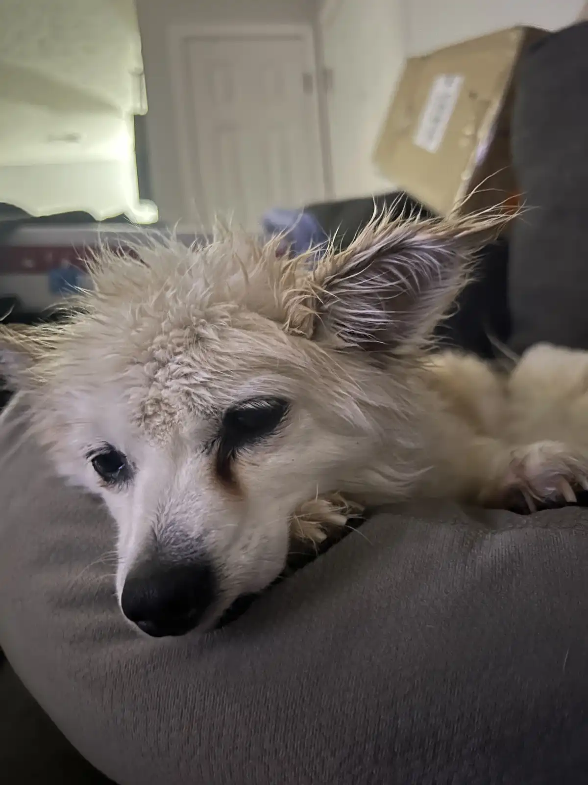 Feeling Down and Soaked