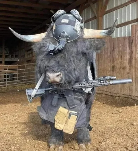 A black bull with large curved horns stands in a barn, outfitted in tactical gear including a helmet with goggles, a vest…