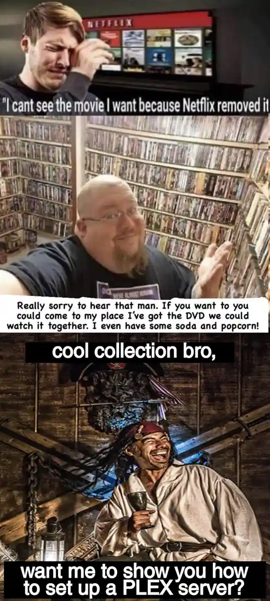 The meme features three panels: a man looking frustrated at a Netflix screen, a man in a DVD collection room offering to…