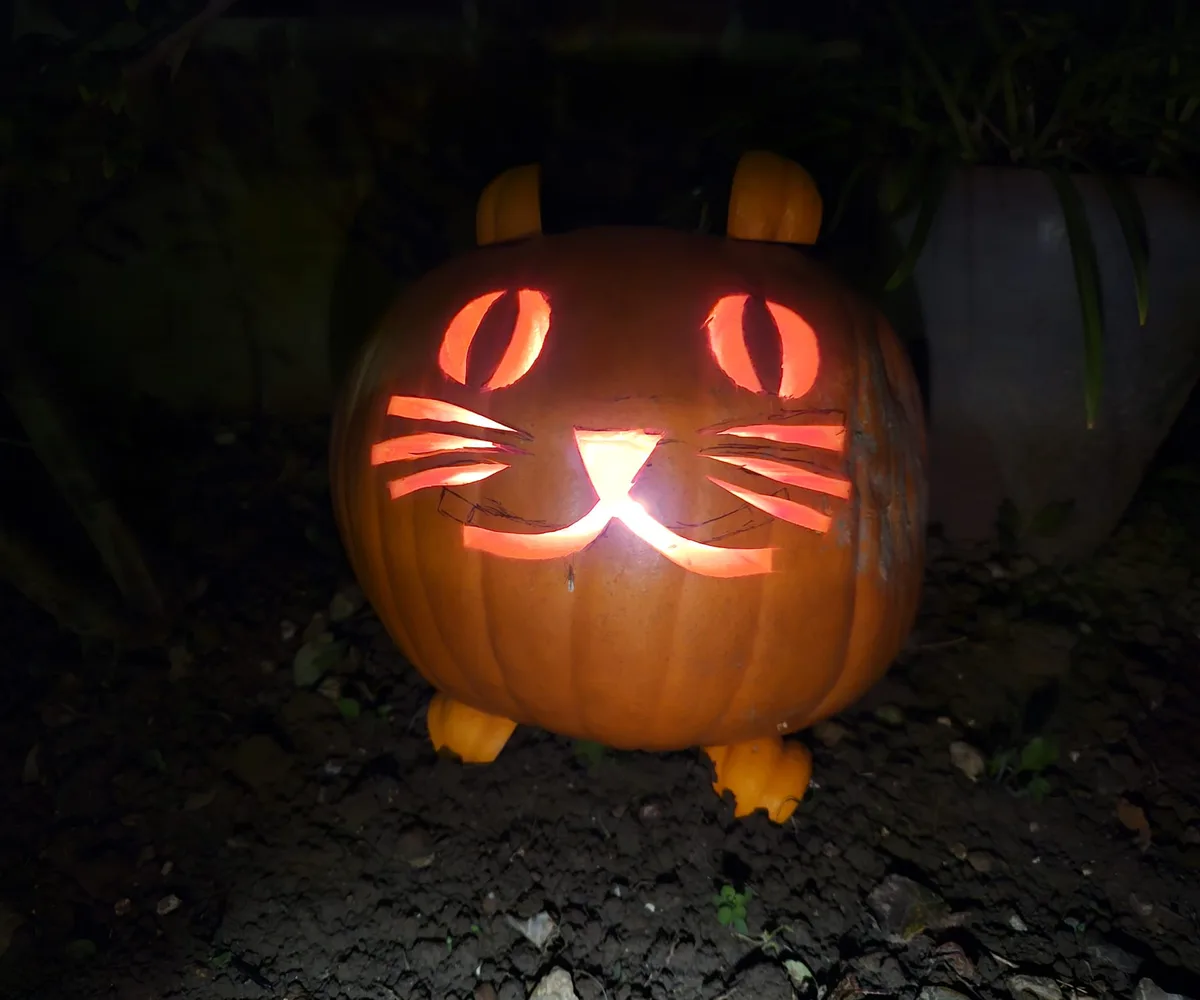 A carved pumpkin with glowing orange eyes, whiskers, and a smiling mouth, shaped like a cat with small pumpkin ears and…