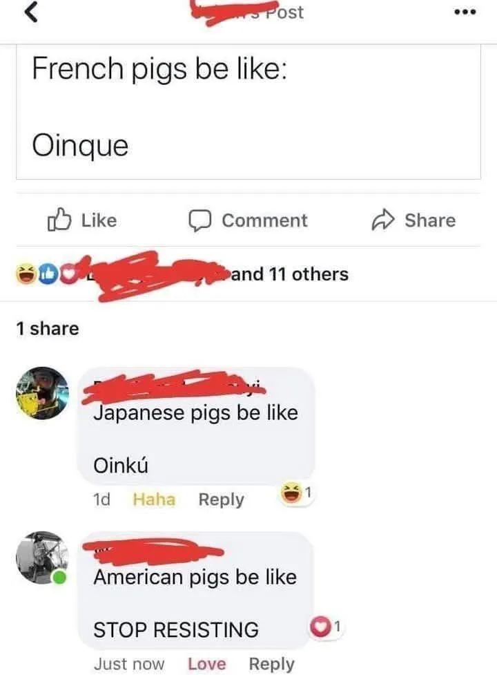 A screenshot of a social media post showing a comment thread where users joke about pigs from different countries saying…