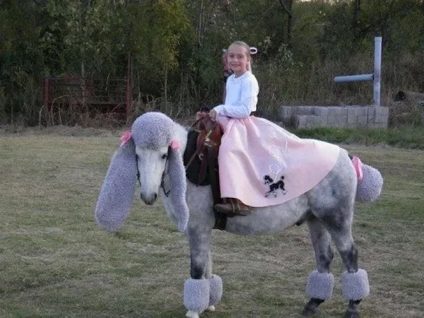 A young girl in a pink dress and white shirt is smiling while sitting atop a grey poodle that has been groomed to resemble a…